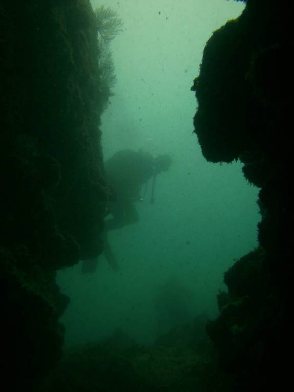 Pequenos canyons e túneis em El Cantil, ponto de mergulho no Cabo Pulmo, no sul da Baja California, Mar de Cortez, no México